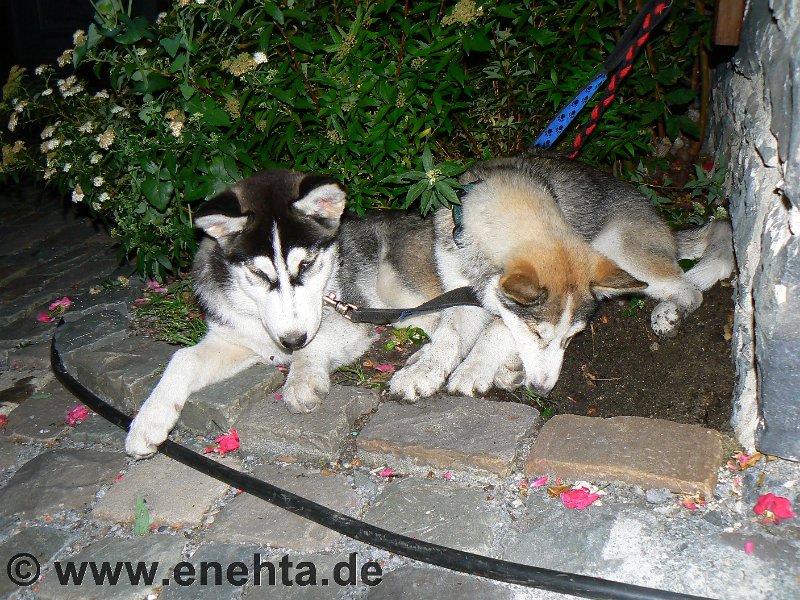 Mittelaltermark_Altena_2011 (12).jpg